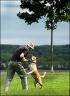 Neil Sattin trains his dog Nola in the park