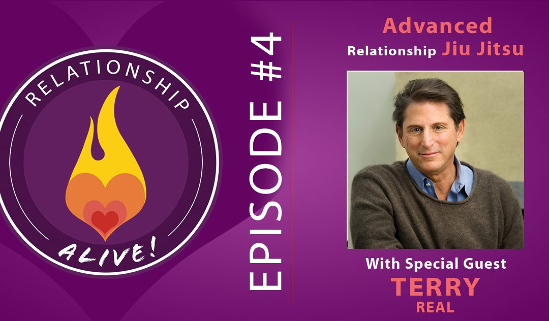 04: Advanced Relationship Jiu Jitsu with Terry Real