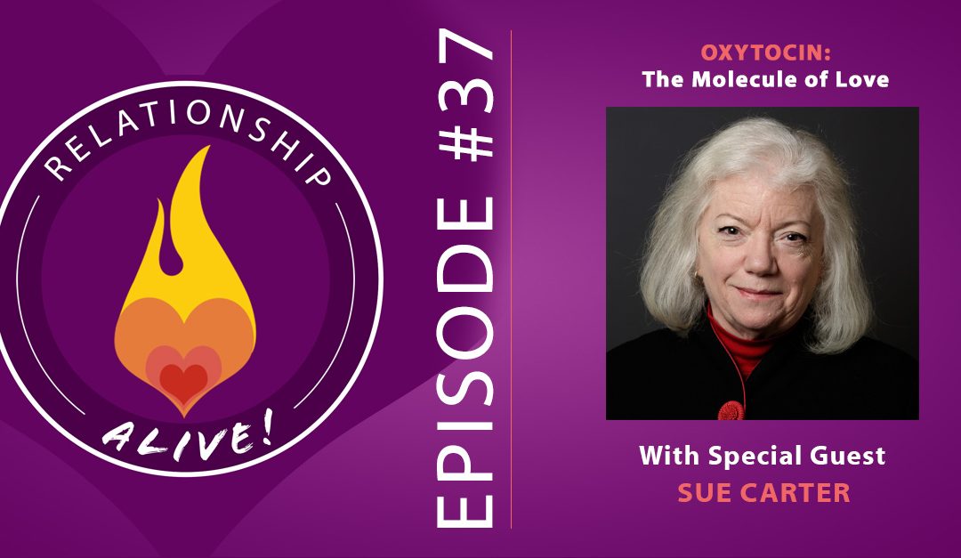 37: Oxytocin: the Molecule of Love with Sue Carter