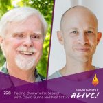 228: Facing Overwhelm – Session with David Burns and Neil Sattin